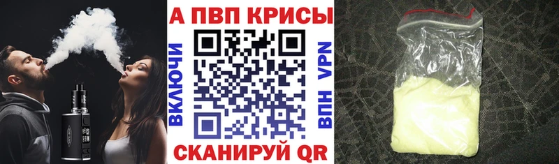 A PVP СК КРИС  Ставрополь 